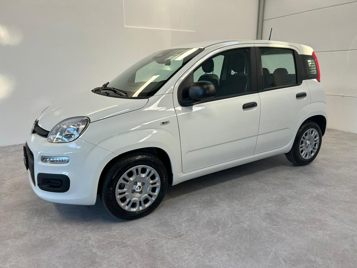 Fiat Panda 1.0 firefly hybrid Icon s&s 70cv (3)