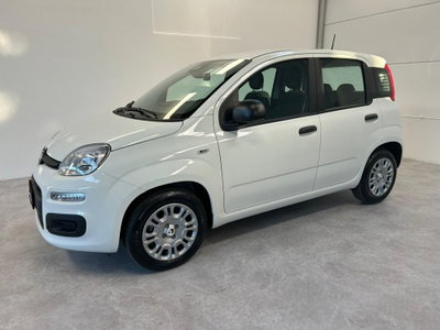 Fiat Panda 1.0 firefly hybrid Icon s&s 70cv (3)