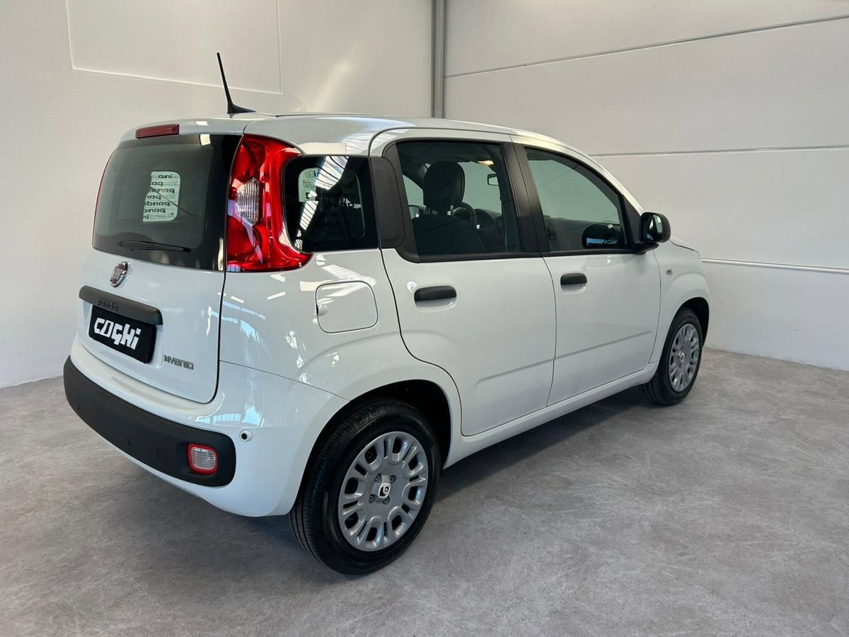 Fiat Panda 1.0 firefly hybrid Icon s&s 70cv (4)