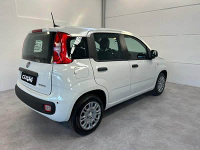 Fiat Panda 1.0 firefly hybrid Icon s&s 70cv (4)