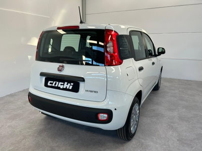Fiat Panda 1.0 firefly hybrid Icon s&s 70cv (5)