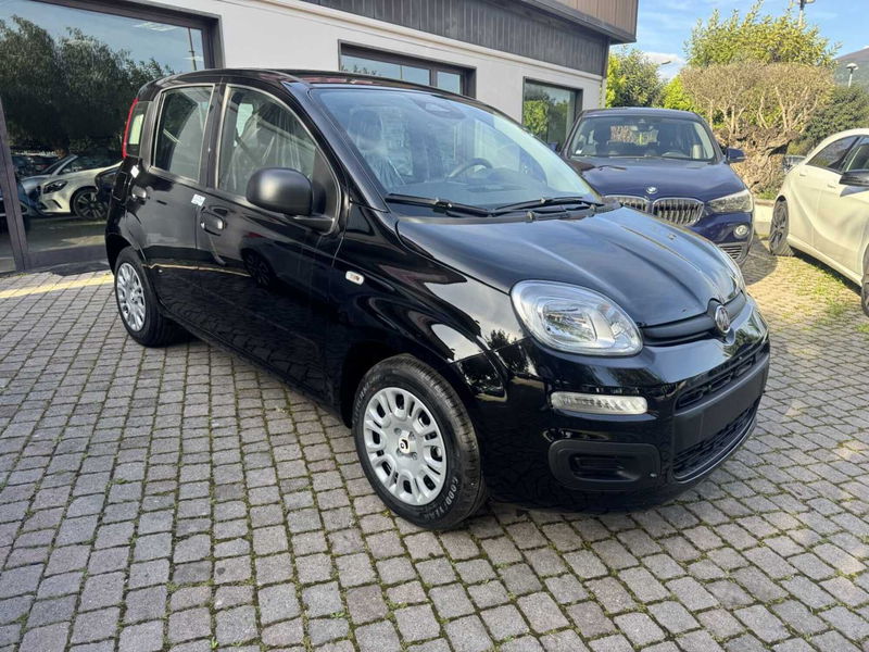 Fiat Panda 1.0 firefly hybrid Icon s&s 70cv
