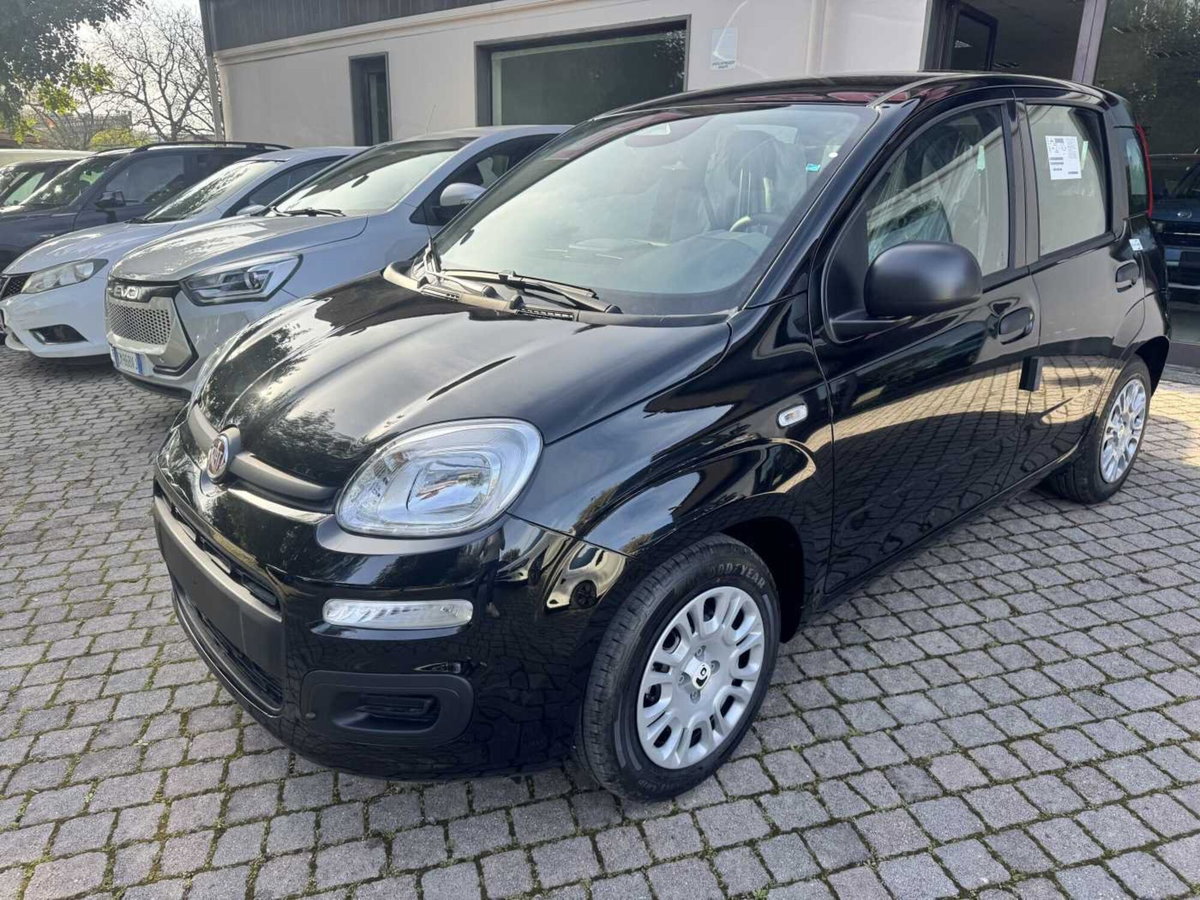Fiat Panda 1.0 firefly hybrid Icon s&s 70cv (2)