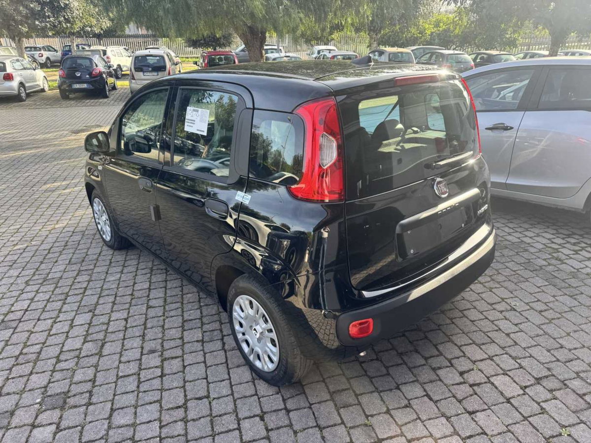 Fiat Panda 1.0 firefly hybrid Icon s&s 70cv (3)