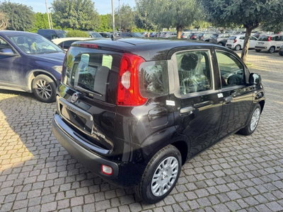 Fiat Panda 1.0 firefly hybrid Icon s&s 70cv (4)