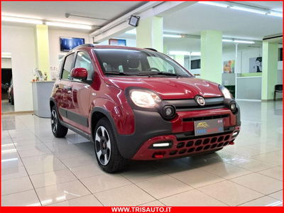 Fiat Panda Cross 1.0 firefly hybrid Cross s&s 70cv 5p.ti usata