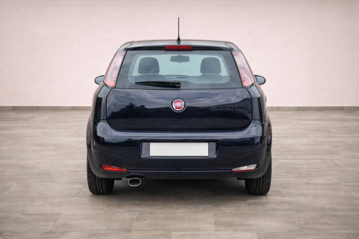 Fiat Punto 1.4 8V 5 porte Easypower Lounge (2)