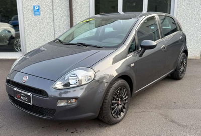 Fiat Punto 1.3 MJT II 75 CV 5 porte Street usata