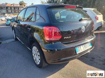 Volkswagen Polo 1.6 TDI DPF 5 porte Comfortline (6)