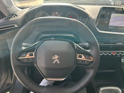 Peugeot 2008 PureTech 100 S&S Active Pack (12)