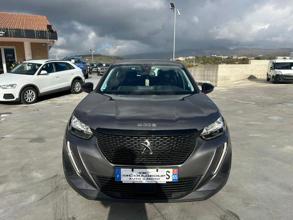 Peugeot 2008 PureTech 100 S&S Active Pack (2)