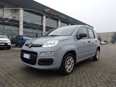 Fiat Panda 1.2 Easy usata