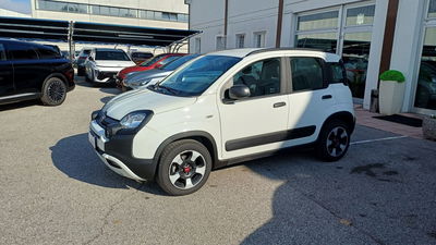 Fiat Panda Cross Cross 1.0 FireFly S&S Hybrid usata
