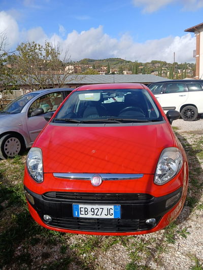 Fiat Punto Evo 1.2 5 porte Dynamic usata