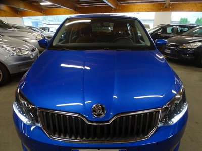 Skoda Fabia 1.4 TDI 75 CV Design Edition (17)