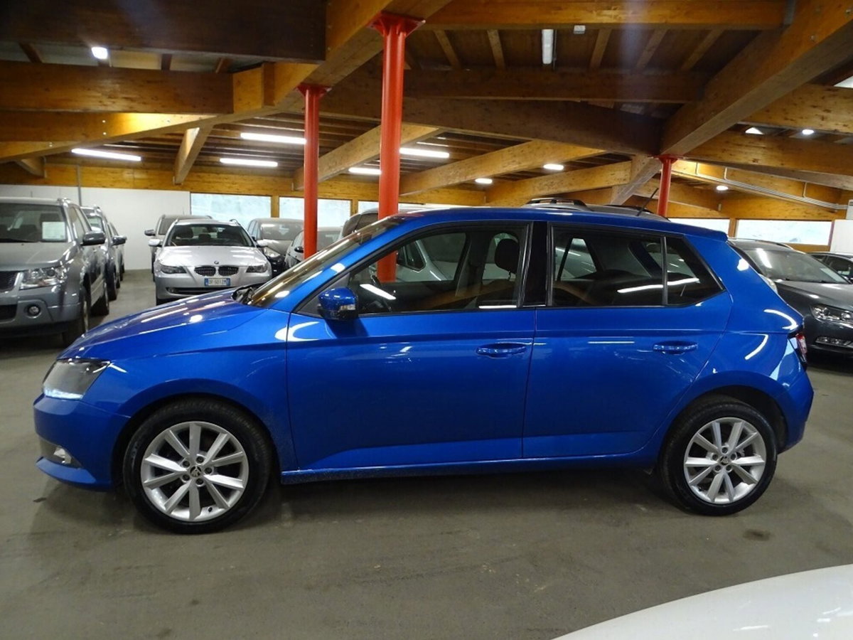 Skoda Fabia 1.4 TDI 75 CV Design Edition (18)