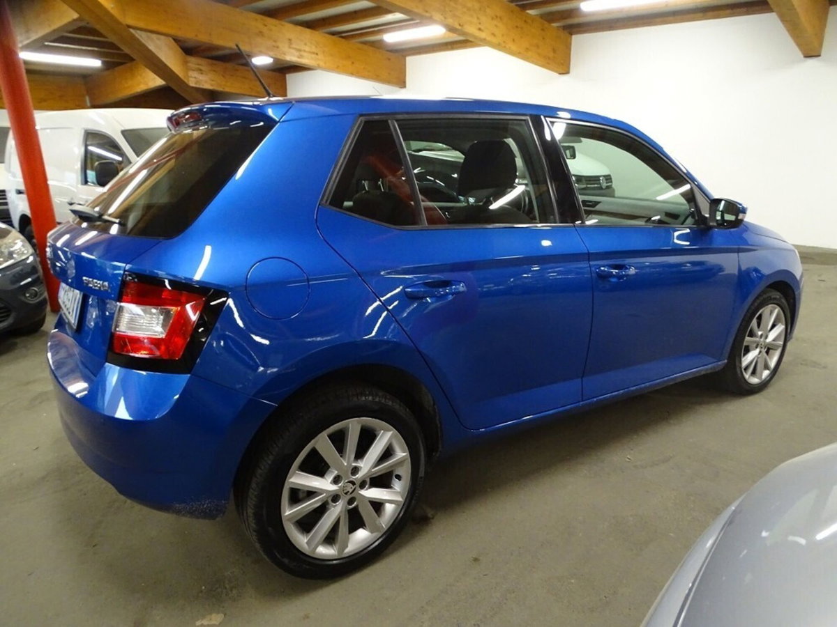 Skoda Fabia 1.4 TDI 75 CV Design Edition (3)