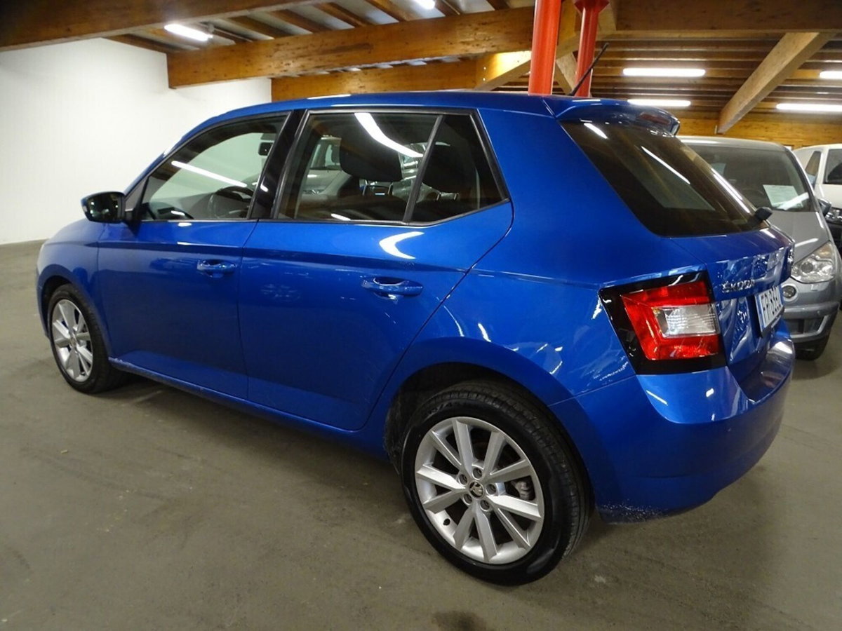 Skoda Fabia 1.4 TDI 75 CV Design Edition (4)