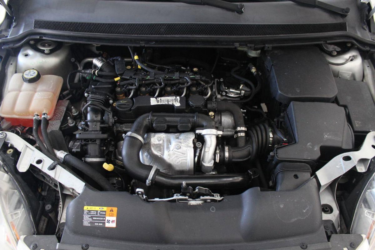 Ford Focus Station Wagon 1.6 TDCi (90CV) SW Tit. (19)
