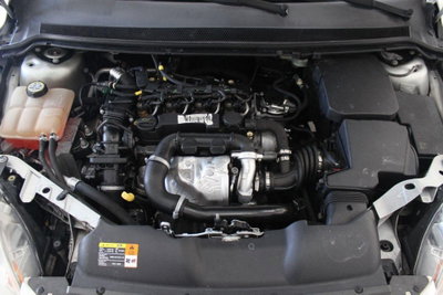 Ford Focus Station Wagon 1.6 TDCi (90CV) SW Tit. (19)