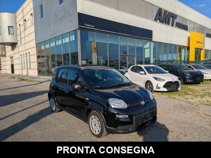 Fiat Panda 1.0 firefly hybrid s&s 70cv 5p.ti