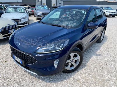 Ford Kuga 1.5 EcoBlue 120 CV aut. 2WD usata