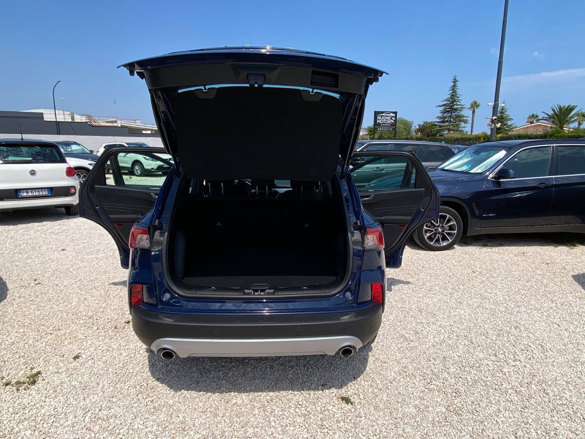 Ford Kuga 1.5 EcoBlue 120 CV aut. 2WD (13)