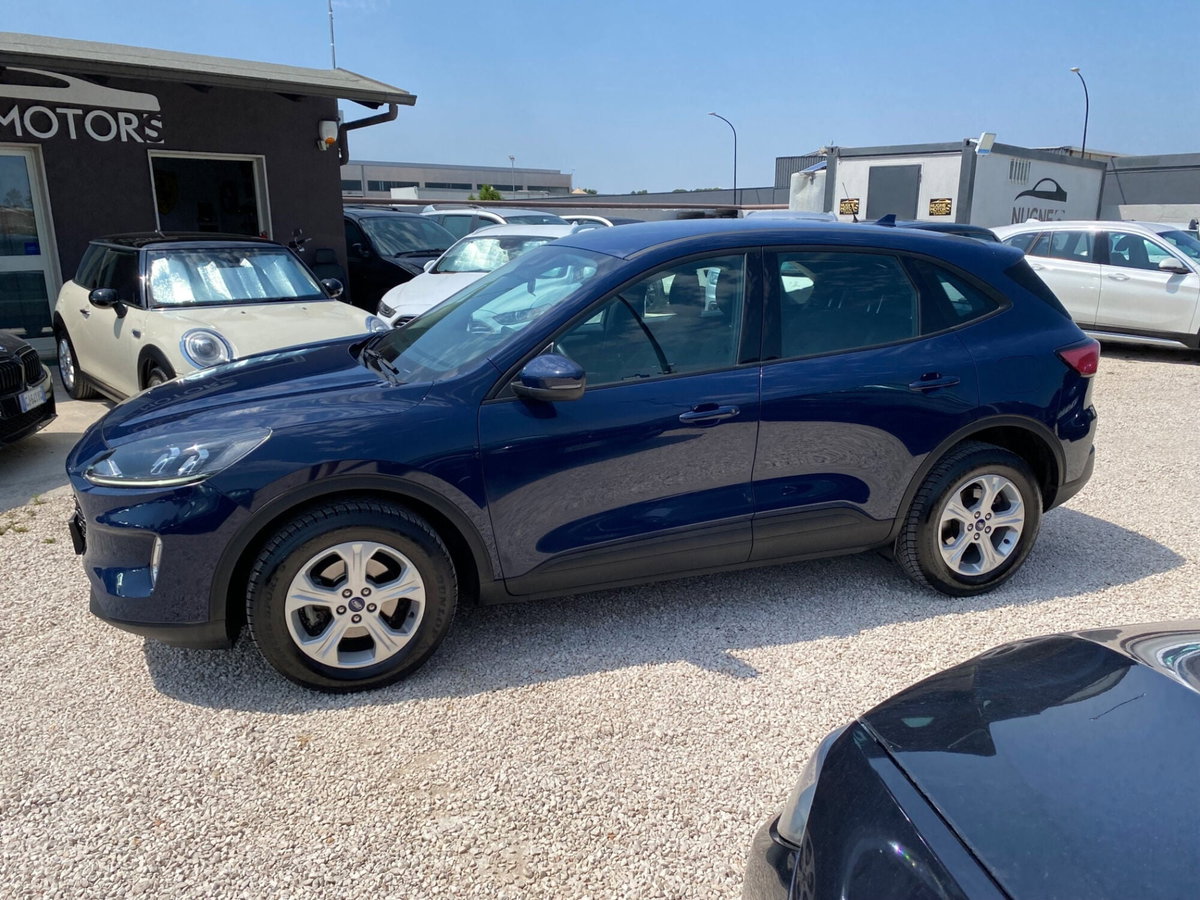 Ford Kuga 1.5 EcoBlue 120 CV aut. 2WD (2)