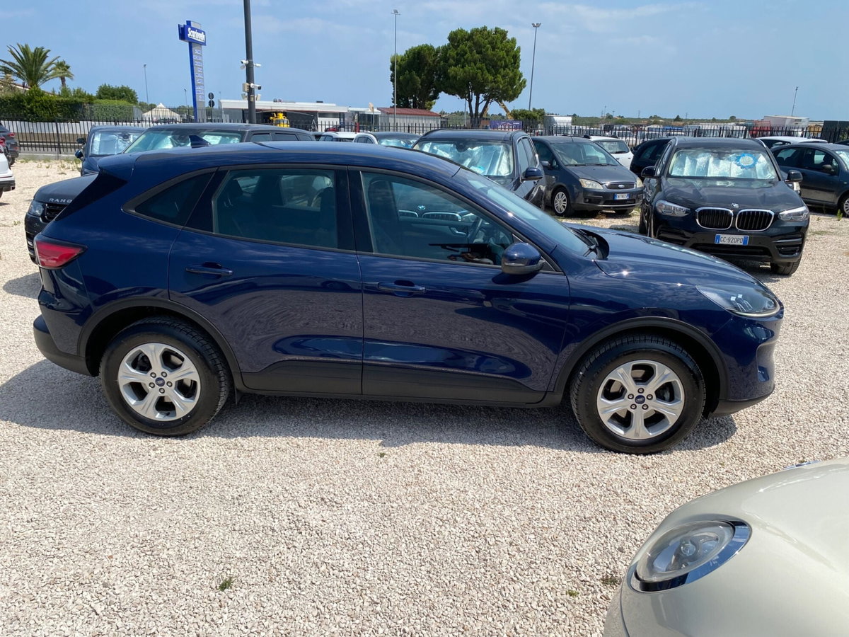 Ford Kuga 1.5 EcoBlue 120 CV aut. 2WD (6)