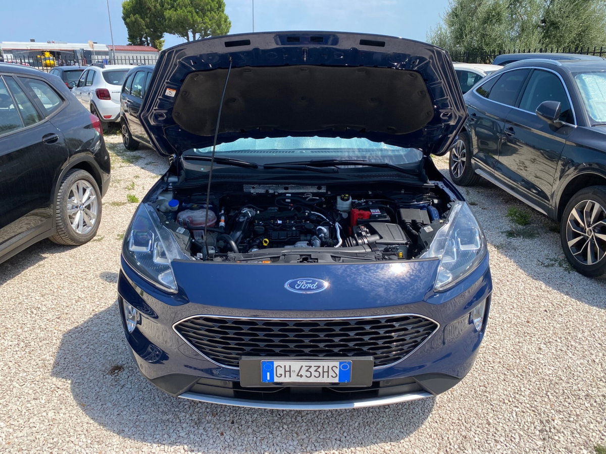 Ford Kuga 1.5 EcoBlue 120 CV aut. 2WD (9)