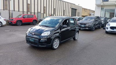 Fiat Panda 1.0 firefly hybrid s&s 70cv 5p.ti usata