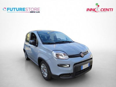 Fiat Panda 1.0 firefly hybrid s&s 70cv usata
