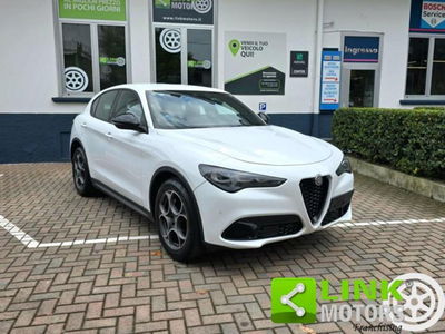 Alfa Romeo Stelvio Stelvio 2.2 Turbodiesel 160 CV AT8 RWD Sprint usata