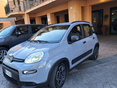Fiat Panda 1.0 FireFly S&S Hybrid City Cross usata