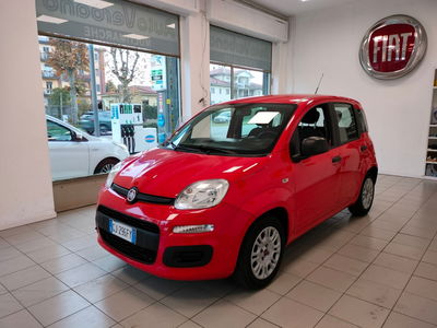 Fiat Panda Cross Cross 1.0 FireFly S&S Hybrid usata