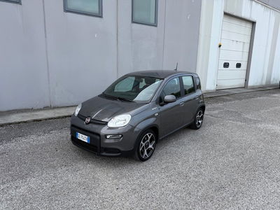Fiat Panda 1.0 FireFly S&S Hybrid Sport usata