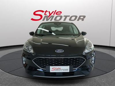 Ford Kuga 1.5 EcoBlue 120 CV aut. 2WD usata