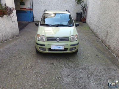 Fiat Panda 1.2 Dynamic usata