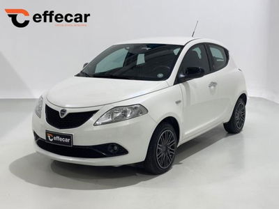 Lancia Ypsilon 1.2 69 CV 5 porte GPL Ecochic Gold usata