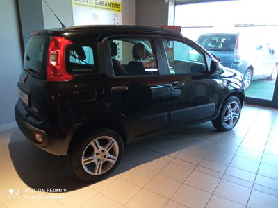 Fiat Panda 0.9 TwinAir Turbo Natural Power Lounge usata