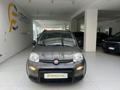 Fiat Panda 1.0 firefly hybrid s&s 70cv usata