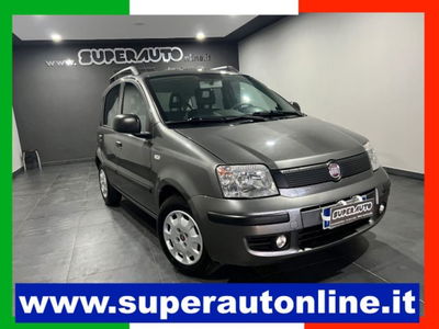 Fiat Panda 1.2 Dynamic usata