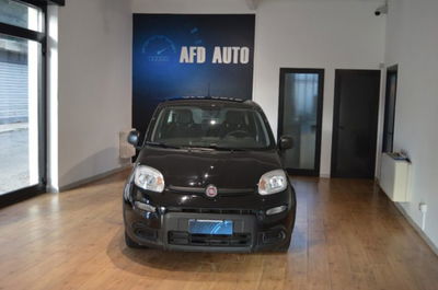 Fiat Panda 1.0 firefly hybrid s&s 70cv 5p.ti usata