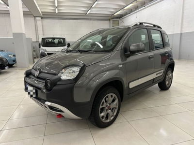 Fiat Panda Cross Cross 0.9 TwinAir Turbo S&S 4x4 usata
