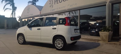 Fiat Panda 1.2 Easy (3)