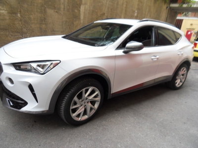 Cupra Formentor Formentor 1.5 TSI (2)