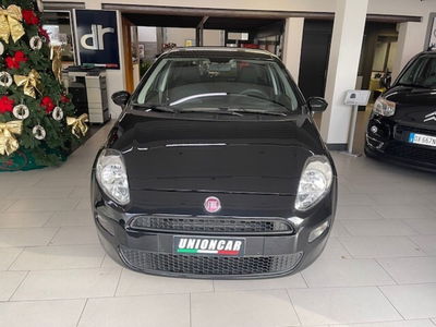 Fiat Punto 1.4 S&S 8V 5 porte Pop usata