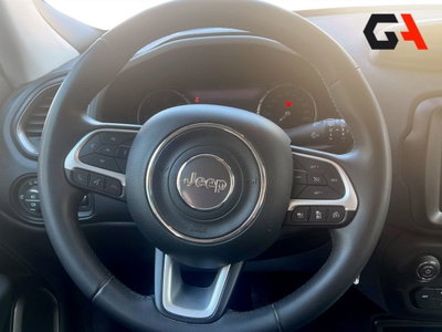 Jeep Renegade 1.6 Mjt 130 CV Limited (13)
