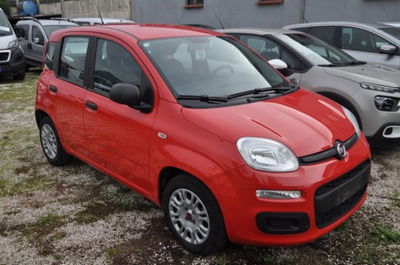 Fiat Panda 1.0 firefly hybrid s&s 70cv 5p.ti usata