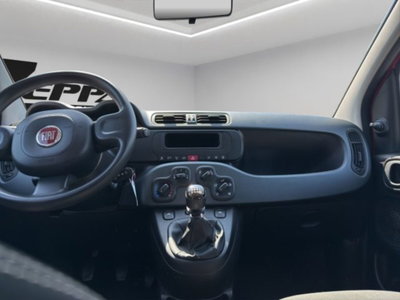 Fiat Panda 1.0 firefly hybrid s&s 70cv 5p.ti (13)
